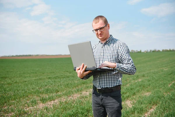 Tarlada Dizüstü Bilgisayarda Çalışan Bir Çiftçi Agronomist Yeşil Filizlenen Buğdayı — Stok fotoğraf