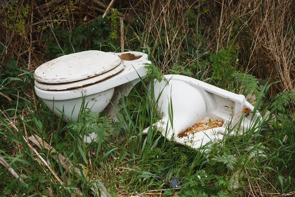 Ecología Viejo Inodoro Acostado Descartado Naturaleza Bosque — Foto de Stock