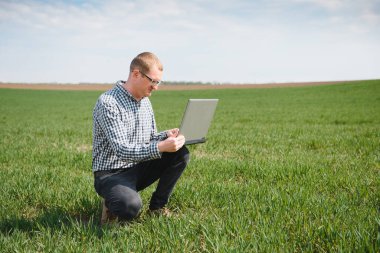 Tarlada dizüstü bilgisayarda çalışan bir çiftçi. Agronomist yeşil filizlenen buğdayı inceliyor..