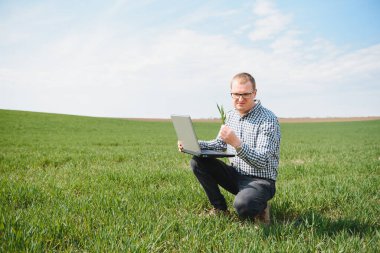 Buğday tarlasında duran ve dizüstü bilgisayara bakan çiftçiler, genç ve yakışıklı tarımcıları inceliyor. Tarım sektörü konsepti. tarım mühendisi buğday tarlasında duruyor