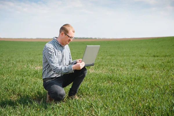 Farmer Pracujący Laptopie Terenie Agronomist Bada Zieloną Pszenicę Ozimą — Zdjęcie stockowe
