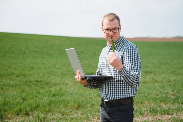 Man Farmer Working Laptop Field Agronomist Examines Green Sprout Winter — Stock Photo, Image