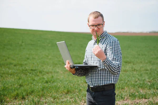 Hombre Granjero Trabajando Portátil Campo Agrónomo Examina Brote Verde Trigo — Foto de Stock