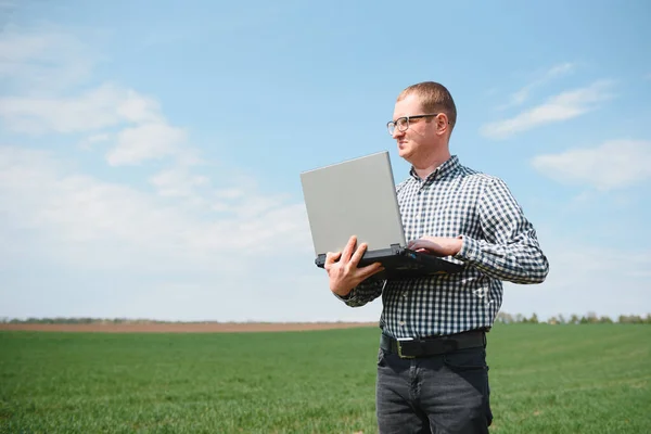 Çiftçi Genç Buğday Tarlasında Duruyor Ekinleri Inceliyor Dizüstü Bilgisayarına Bakıyor — Stok fotoğraf