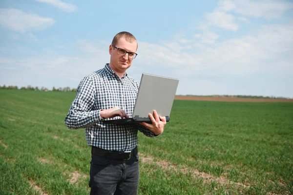 Фермер Стоїть Пшеничному Полі Дивиться Ноутбук Вивчає Труп Концепція Агробізнесу — стокове фото
