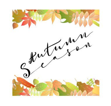 sonbahar yaprakları arka plan