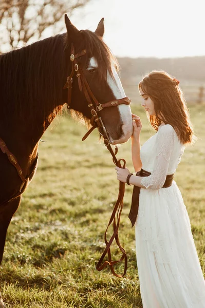 Красивая молодая невеста с лошадью на фоне заката. Девушка позирует с лошадью — стоковое фото