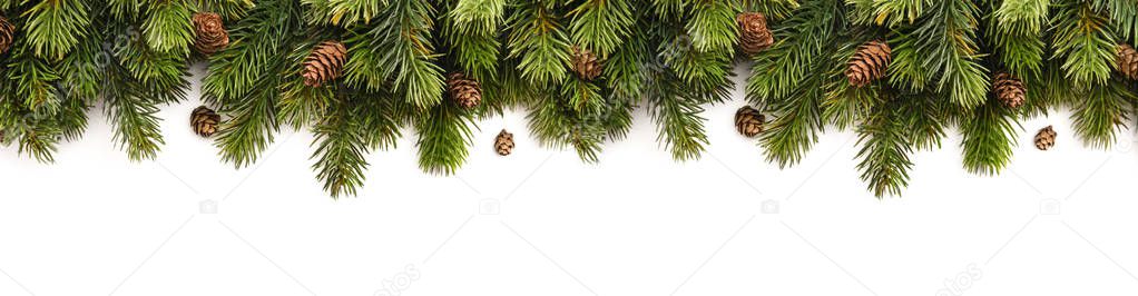 Spruce branches with cones — Stock Image Spruce branches with cones Stock Image