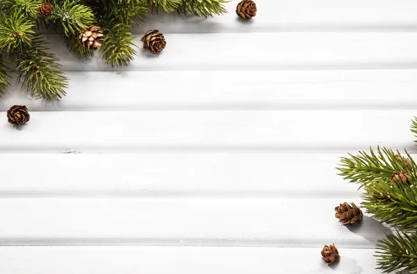 Fir branches with cones — Stock Photo, Image