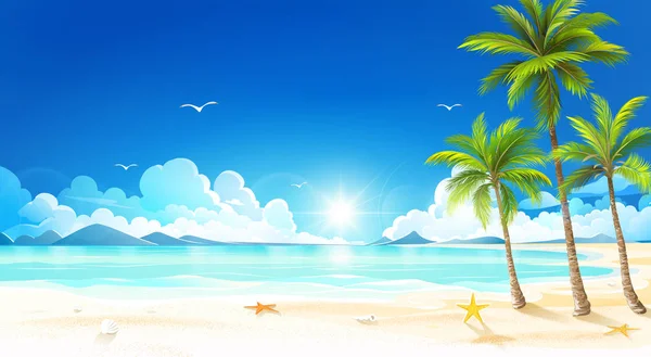 Playa tropical. Vector — Vector de stock