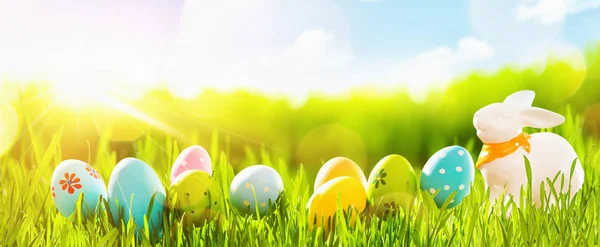 Telur Paskah Dengan Rumput Hijau Segar dan Matahari — Stok Foto