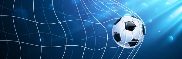 Fotbalový míč v mřížce — Stockový vektor