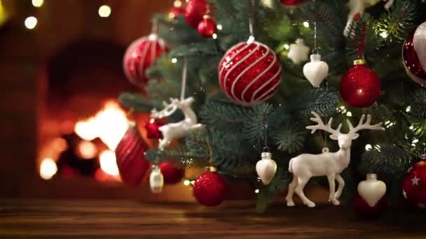 Julgran och en gåva från jultomten — Stockvideo