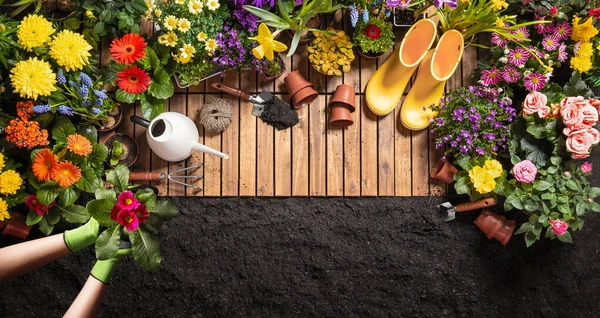 Outils de jardinage sur fond de sol — Photo