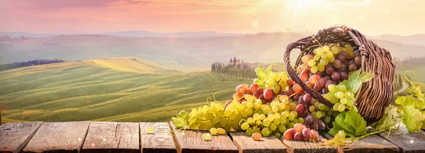 Спелые белые и красные виноград в плетеной корзине на Солнечной долине — стоковое фото