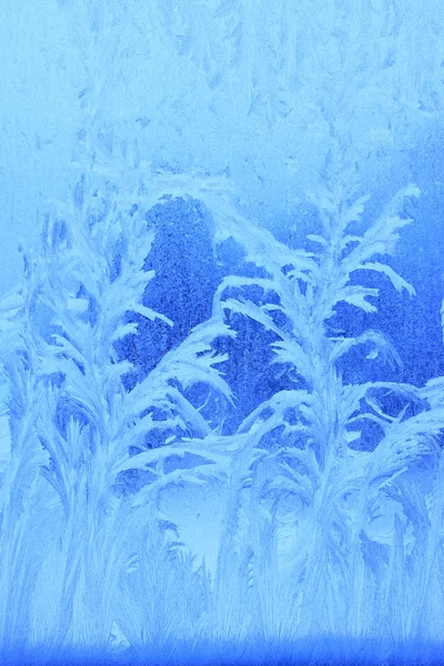 Frost pattern on a window pane — Stock Photo, Image