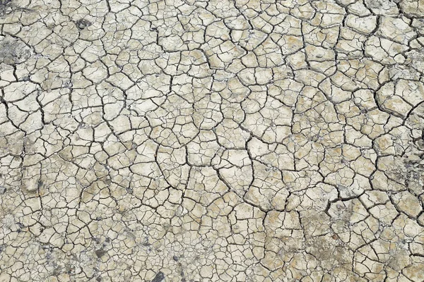 Dışarı Kuru toprak