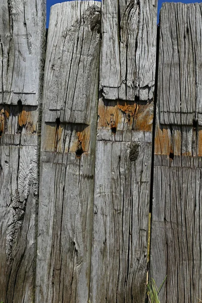 Omšelé dřevěné pražce — Stock fotografie