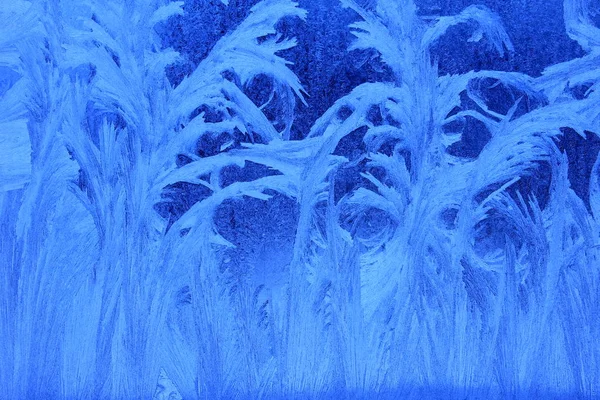 Frost pattern in winter — Stock Photo, Image