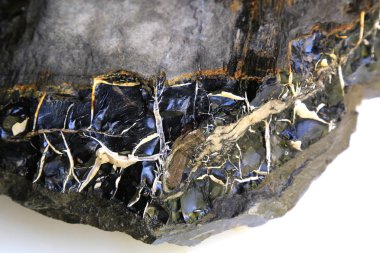 Jet (taşlaşmış ağaç)