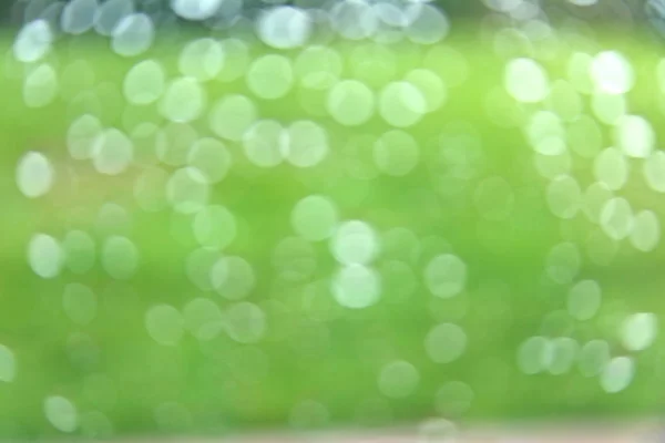 Green blurred background bokeh — Stock Photo, Image