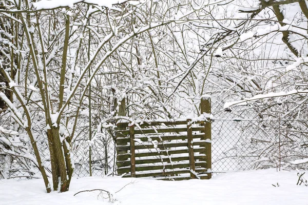 Winter in the garden — Stock Photo, Image