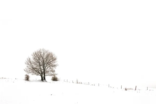 Winter landscape in Germany — Stock Photo, Image