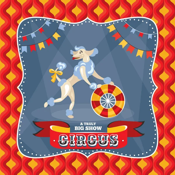 Circus card with a poodle — Stock Vector