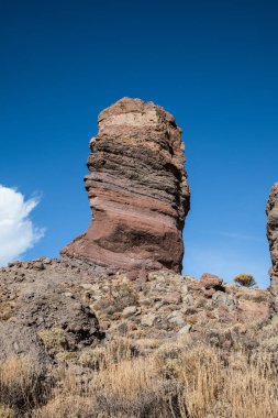 Roque Cinchado (Tenerife - Spain)