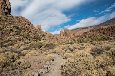 Los Roques de Garca (Tenerife - Spain)