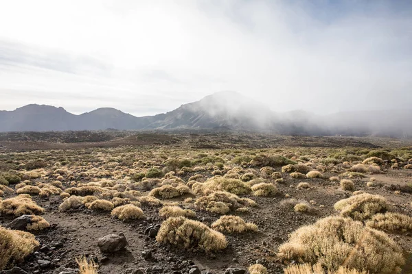 Das ucanca-Tal — Stockfoto