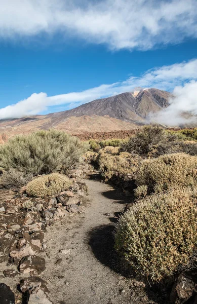 Op het Nationaal Park van de Teide op Tenerife (Spanje Trail) — Stockfoto
