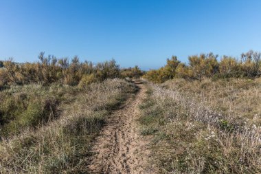 Les Sables d'Olonne, Fransa dunes yolda