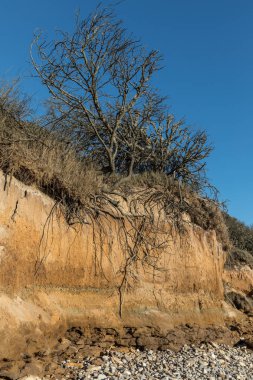 Küçük uçurumlar kökleri