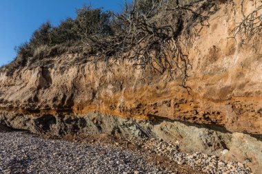 Small cliffs on la Pointe du Payre in Vendee (France)