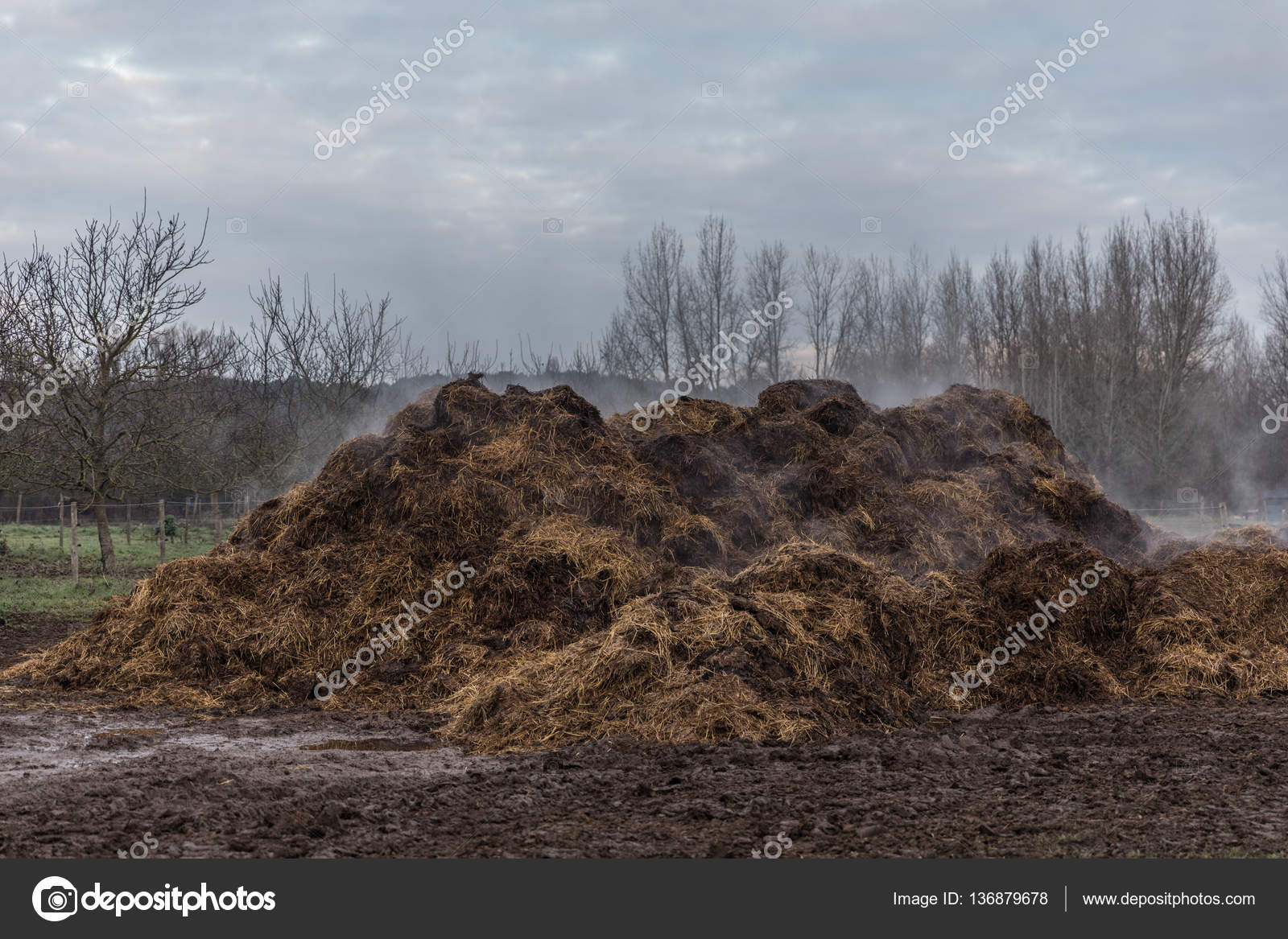 Horse Manure Pile — Stock Photo © Thomaspajot 136879678