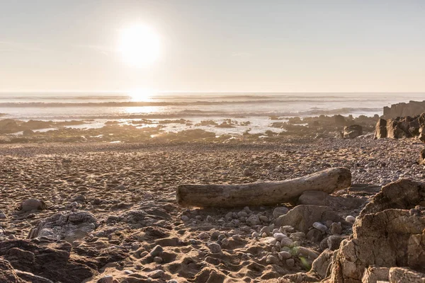 Banc naturel en bois flotté sur la plage — Photo