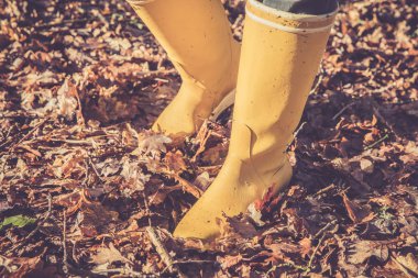 Ölü yaprakları yürüyüş