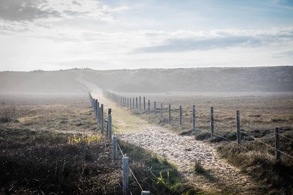 Foggy path in the dunes of la Gachere