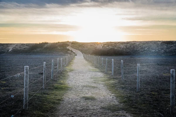 Pad in de duinen van la Gachere — Stockfoto