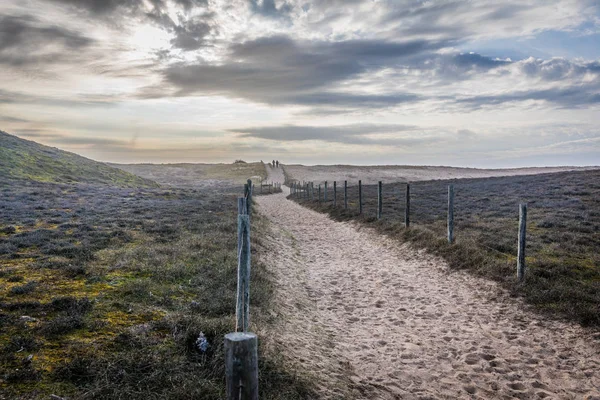 Chemin dans les dunes de la Gachère — Photo