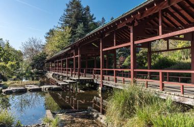 Japonca esinlenen yapısına Versailles