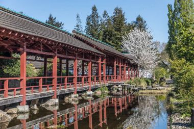 Japonca esinlenen yapısına Versailles