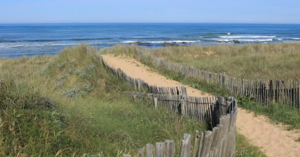 Chemin de la plage — Video