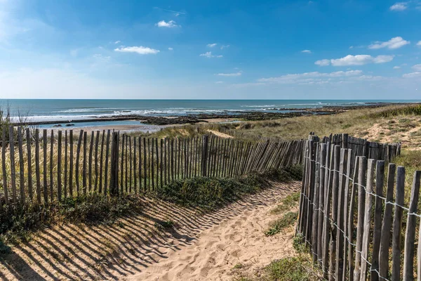 Path in the dunes towards the beach