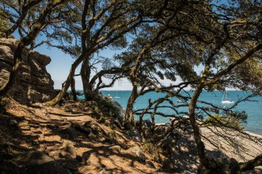 Ahşap la Chaise Noirmoutier (Fransa içinde)