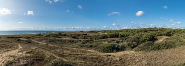 Dunes ormanı arasındaki plaja
