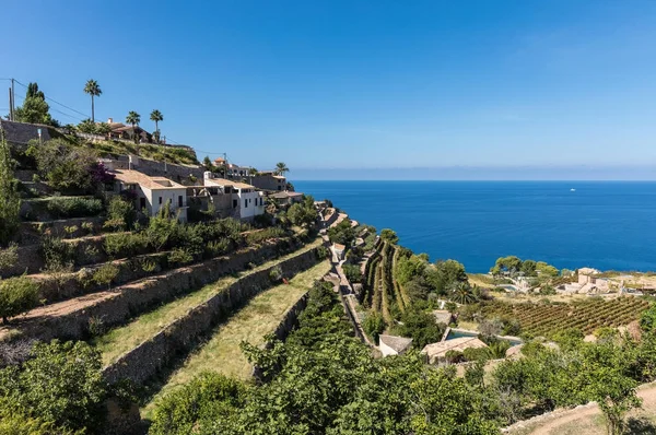 Gepflegte Terrassen in Banyalbufar — Stockfoto