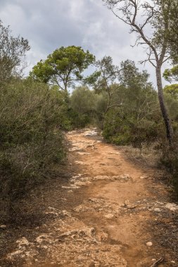 Mondrago doğal Park yolu