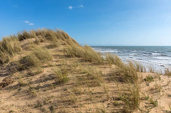 Dune di sabbia sotto il vento — Foto Stock